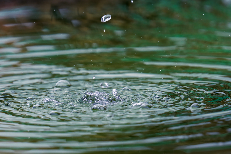 Tropfen die ins Wasser fallen